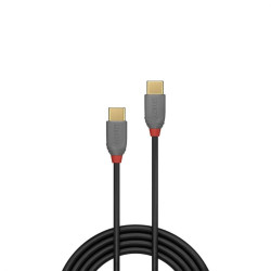 Câble USB 2 0 Type C mâle mâle 3A Anthra Line 2m